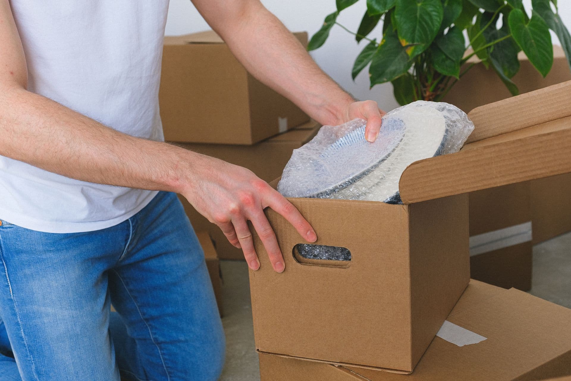 Geschirr wird in Umzugskartons verpackt